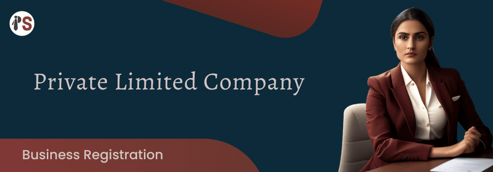 https://www.professionalsaath.com/Private Limited Company